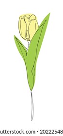 tulip in one line;  the outline of the flower and its colored silhouette