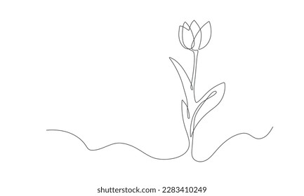 Tulip one line sketch. Hand drawn flower continuous. Spring flower with leaves. Botanical decorative drawing element. Vector illustartion