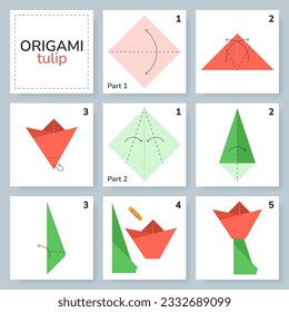 Tulip origami scheme tutorial moving model. Origami for kids. Step by step how to make a cute origami flower. Vector illustration.