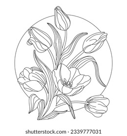 tulip outline. Tulip flower line art. Hand drawn set of tulips branches. Tulip Flower isolated on white background. vector illustration. tulip sketch. Abstract floral hand drawing outline tulips.