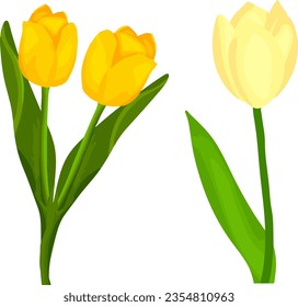 tulip painting into a beautiful bouquet
