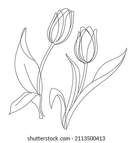 Tulip pair line art. One line artwork of Tulip flowers. Contour drawing. Vector