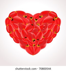 Tulip petals heart