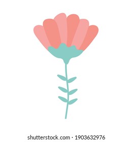 tulip with a pink color vector illustration design