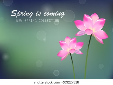 Tulip pink flower poster and spring is coming lettering.For web site,placard,wallpaper,flyer and backdrop.Also useful for ads,advert,marketing and advertisement