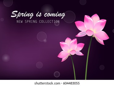 Tulip pink flower poster and spring is coming lettering.For web site,placard,wallpaper,flyer and backdrop.Also useful for ads,advert,marketing and advertisement