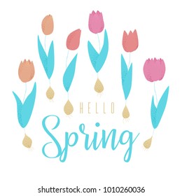 Tulip pink, red and orange spring vector design, colorful concept