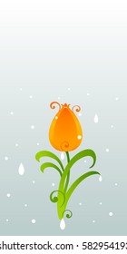 Tulip. Postcards for the spring holiday