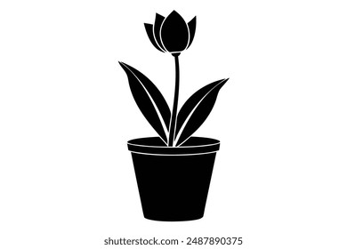 tulip in a pot silhouette vector illustration