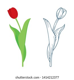 Tulip. Realistic flat style and hand drawn tulips set. Tulip sketch drawing. 