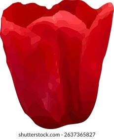tulip red and blooming  design14