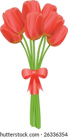 Tulip red  bouquet. Vector