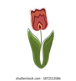 Tulip red bud on a stem with green leaves stylized illustration isolated on white background.