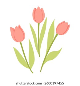 Tulip. Red tulips simple vector illustration for Spring holidays floral decor, Mothers day, Womens day, Happy Birthday cards, postcards, banners, advertising.