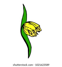 Tulip set vector illustration. Doodle style. Design, print, decor, textile, paper