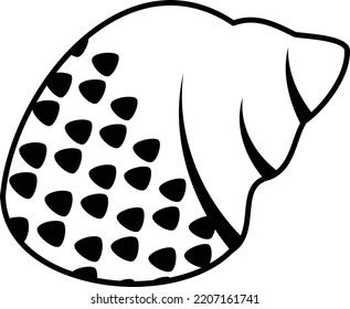 Tulip shell Concept, beach seashell vector icon design, Aquascaping creature symbol, Aquarium pet Sign, Underwater animal stock illustration