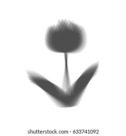 Tulip sign. Vector. Gray icon shaked at white background.