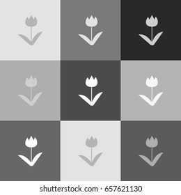 Tulip sign. Vector. Grayscale version of Popart-style icon.