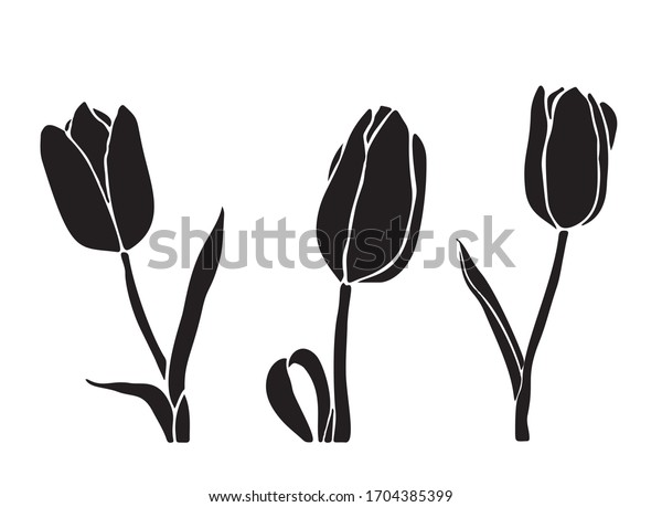 Tulip Silhouette Black Color Isolated On Stock Vector (Royalty Free ...