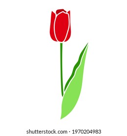 tulip. simple flat illustration, one flower on a white background