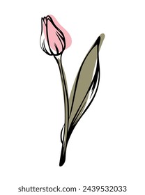Tulip in sketch style with abstract color shapes, hand-drawn isolated on white background. Floral sketch for print designs, signage, flower shops, logos in black and white.