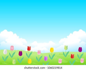 Tulip spring flower background