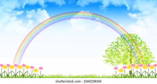 Tulip spring flower background