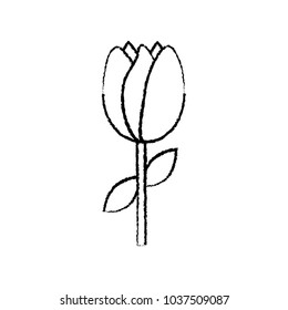 tulip spring icon image 