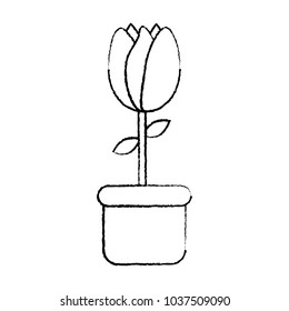 tulip spring icon image 
