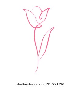 Tulip spring pattern