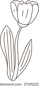 Tulipán con tallo y hoja larga dibujado en líneas de contorno limpias. Símbolo de la primavera, el crecimiento y la elegancia para la marca floral y temas de saludo. Ilustración vectorial de dibujos animados.