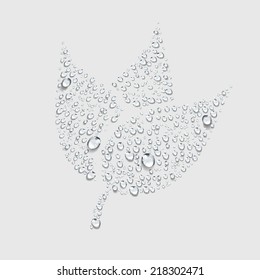 Tulip from transparent water drop vector ,fresh leaf from transparent water drop vector sign icon,