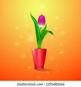 Tulip in a vase on a colored background, isolated. Vector illustration