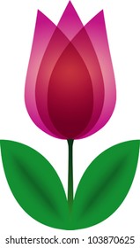 Tulip. Vector.