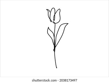 tulip vector art design hand drawn