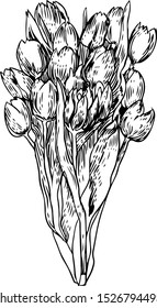 Tulip Vector Drawing Black White