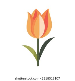 tulip vector flat color white background