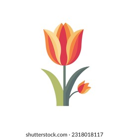 tulip vector flat color white background