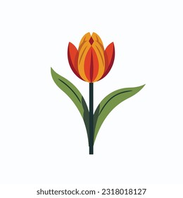 tulip vector flat color white background