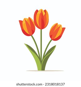 tulip vector flat color white background