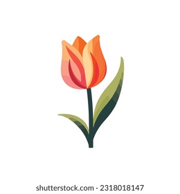 tulip vector flat color white background