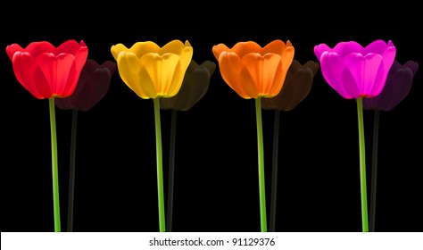 Tulip vector flower