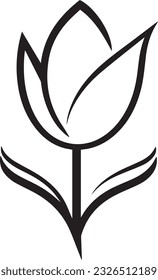 Tulip vector, Flower art, drawing