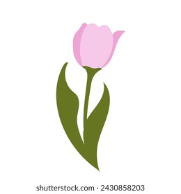 Tulipán vector flores ilustración.Primeras flores de primavera. Ilustración simple sobre un fondo blanco.
