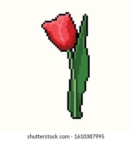 Tulip vector graphics in pixel art