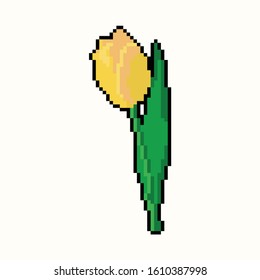 Tulip vector graphics in pixel art