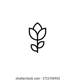 Tulip vector icon in linear, outline icon isolated on white background