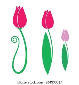Tulip.  Vector Illustration
