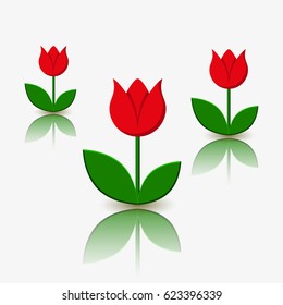 Tulip vector illustration.