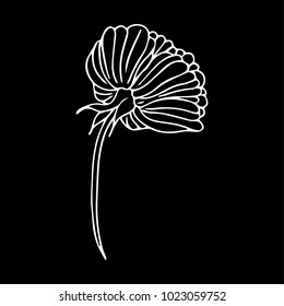Tulip vector illustration. Doodle style. Design, print, decor, textile, paper